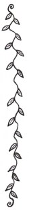 Vines 2